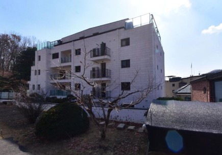 �ǹ� �̹���