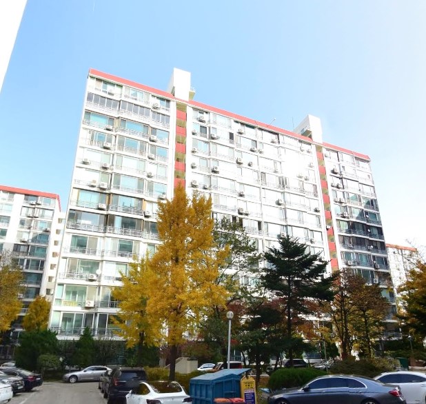 �ǹ� �̹���